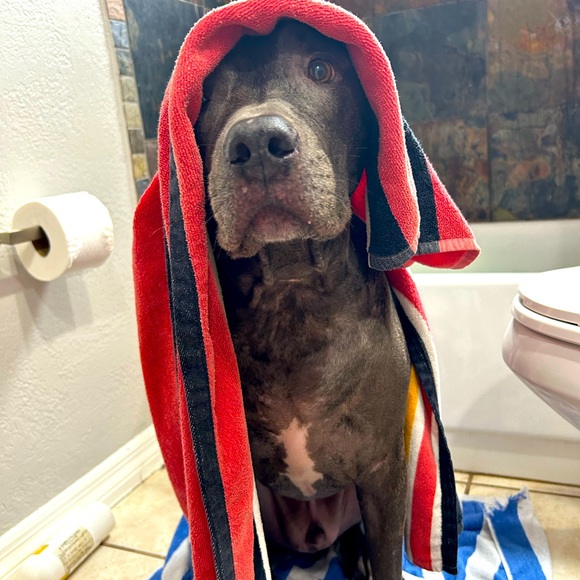 Meet your Posher, Kelly - Picture 1 of 1